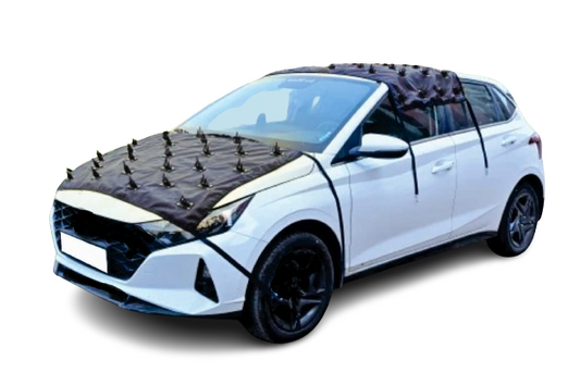 Car Protection Cover from Dogs Pets, Dust ( Roof + Bonnet ) UV Rays Universal Size for Car (60 inch x 42 inch) for Cover Your Car Roof & (50 inch x 30 inch) its Covered Your car Bonnet